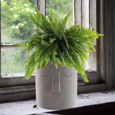 Fioriera cemento cemento