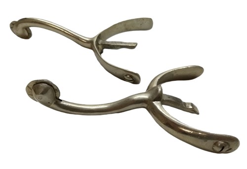 Cigno collo spurs lungo - collo,