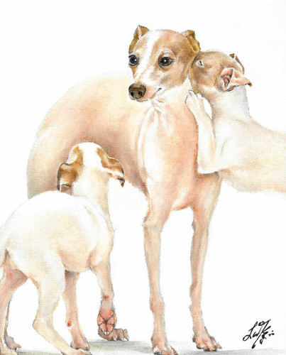Dipinto ritratto olio - ✤,