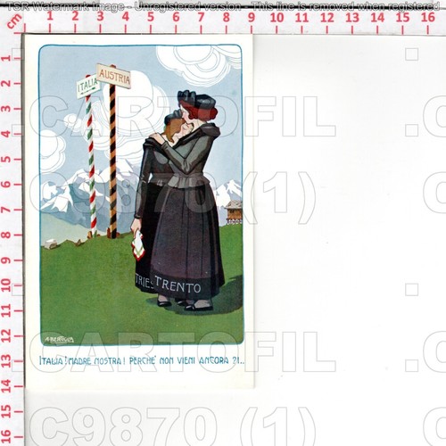 C9870 illustratore bertiglia - c9870,