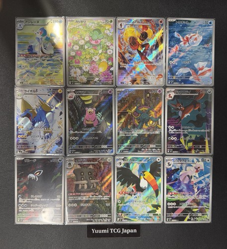 Set completo 12 - completo,