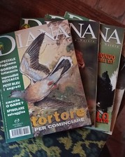 DIANA caccia BECCACCE anni ‘