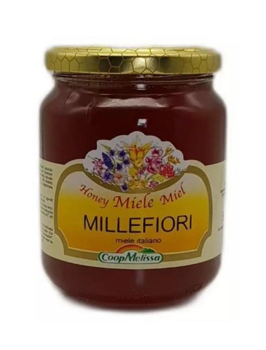 Miele italiano millefiori - miele,