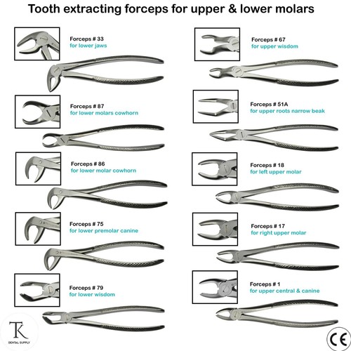 Pinza estrazione denti - pinza,