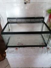 Acquario, Rettilario, Terrario, Teca in vetro misure 63x31 altezza 28 cm