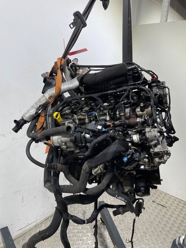 Ymr6 motore ford transit bus - ymr6,