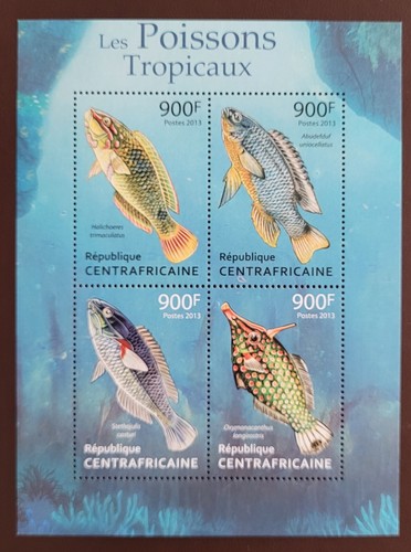 Rep centrafricana 2013 - rep,