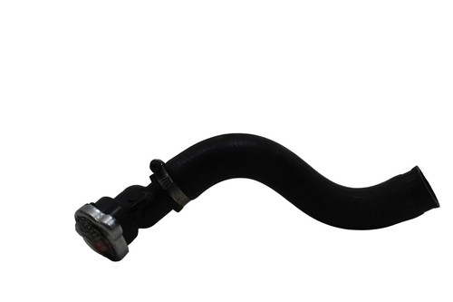 Tappo radiatore honda hornet - radiatore,