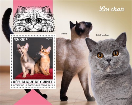 Francobolli gatti abissini - francobolli,