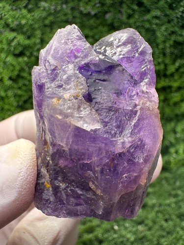 Wow ametista viola - wow!,