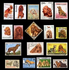 COCKER SPANIEL GOLDEN RED DOG
