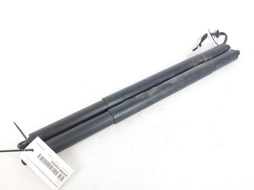 8494161 8494162 pistoncini - 8494162,