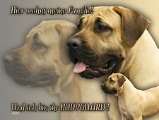 PRESA (Dogo) CANARIO cartello di avvertimento cani targhetta in metallo TARGA alluminio-Dibond NUOVO #2