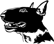 Adesivo BULL TERRIER - adesivo