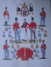 Militare Britannico Uniforme