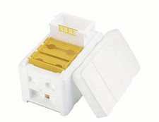 Apidea Ideale Per La