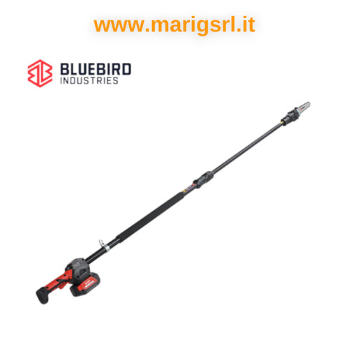 Potatore blue bird - potatore,