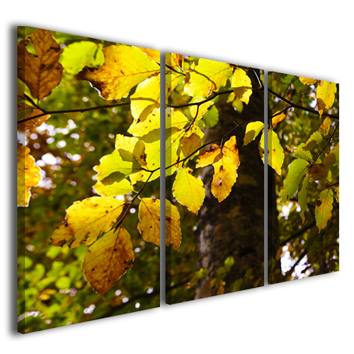 Quadri moderni fiori foliage - fiori,