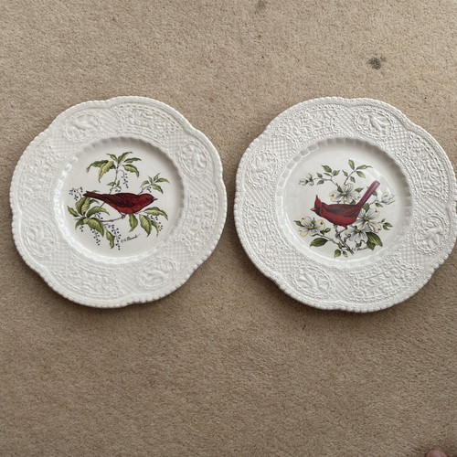 Piatti vintage royal cauldon - piatti,