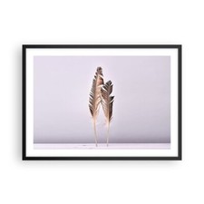 Poster 70x50cm Due piume lilla