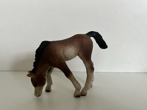 Schleich 13652 puledro arabo