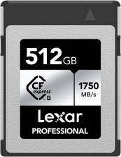 Scheda Lexar Professional 512