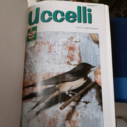 Rivista ornitologia uccelli - ornitologia,