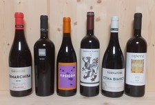 LOTTO 6 BOTTIGLIE DI VINO -