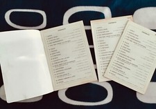 LORETTA GOGGI Raffaella CARRÀ