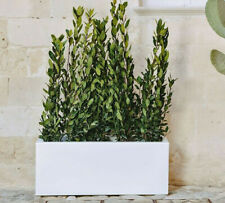 Cassetta fioriera liscia