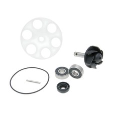 Nuovo kit riparazione pompa acqua per Quadzilla pro shark 100cc quad, apache F100