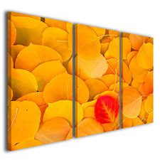 Foliage Effect Canvas Prints