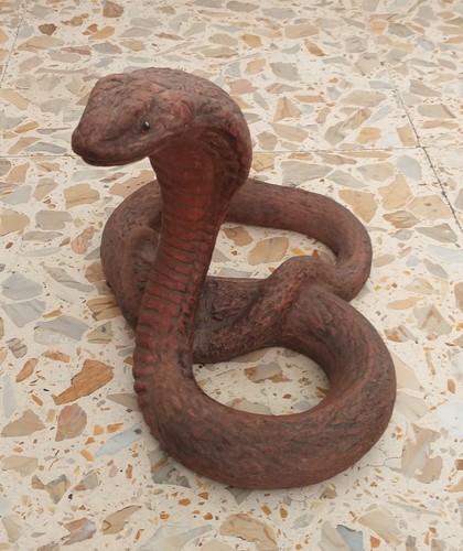 Bel serpente cobra - bel,
