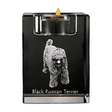 Terrier Nero Russo, Terrier