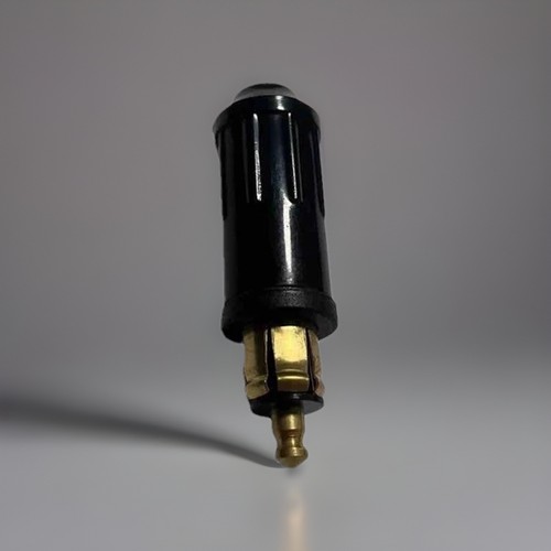 Presa elettrica maschio case - elettrica,