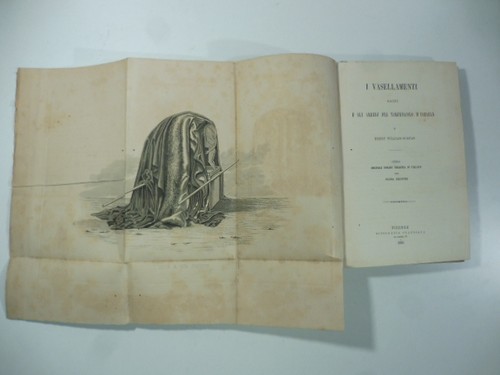 Vasellamenti sacri gli - i,