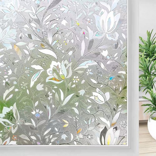 Pellicola privacy finestra