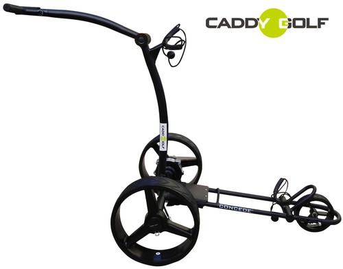 Carrello elettrico litio - elettrico,