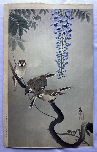 Xilografia koson ohara glicine - ohara,