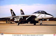 Hasegawa 1/48 Aircraft F-14B