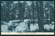 Frosinone Fiuggi Capre cartolina QK4131