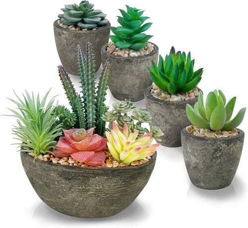 Piante grasse artificiali set - artificiali,,