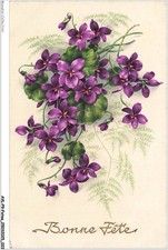 AVLP9-0615-FESTE - Fiori Viola