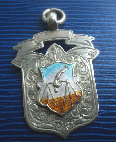 Argento smalto ginnastica - smalto,