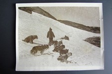 Foto originale HOPEDALE LABRADOR CANADA ESKIMO DOGS CANI  vintage press photo