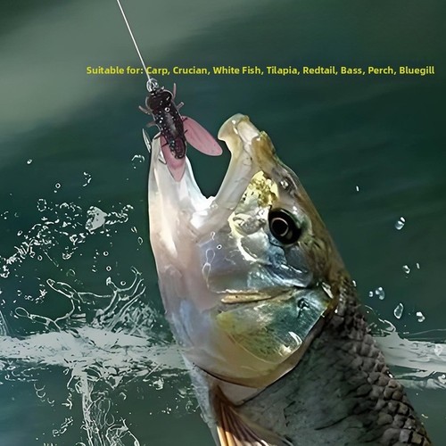 Kit pesca mosca - pesca,