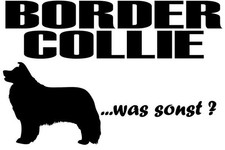 Adesivo border collie - collie,