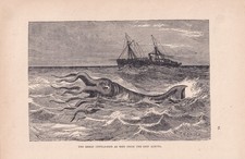 Nave SEPPIE GIGANTI mostri