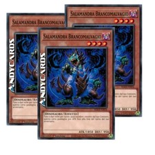 3x SALAMANDRA BRANCOMALVAGIO