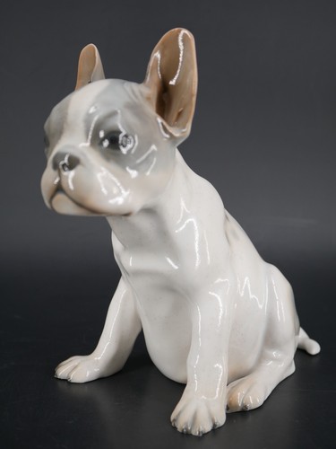 Cane cane bulldog francese